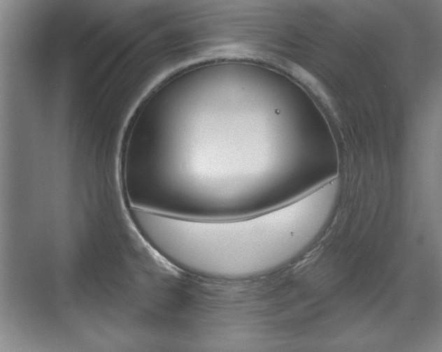 X0000076221334200609280911