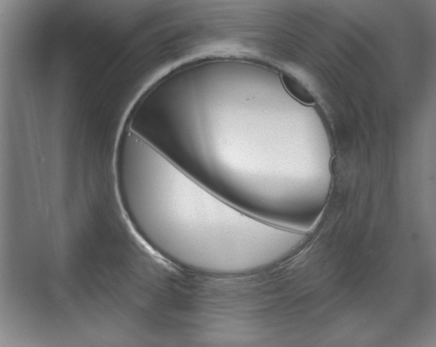 X0000076221335200609280911