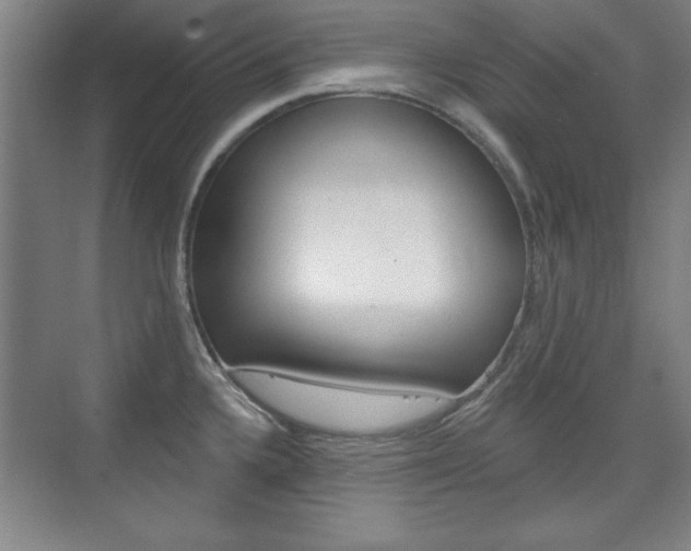 X0000076221336200609280911