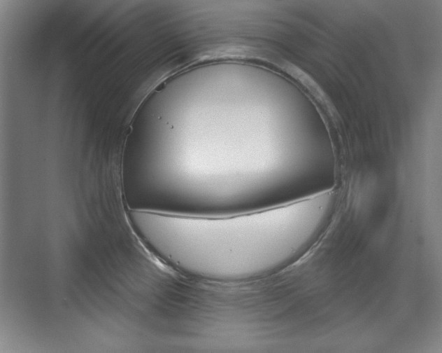 X0000076221337200609280911