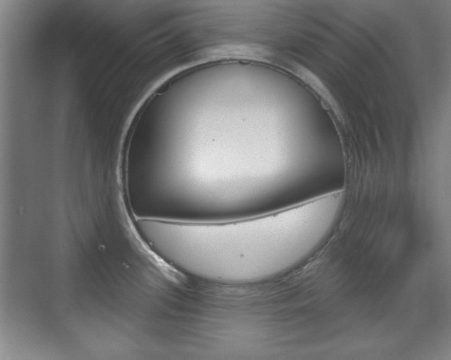 X0000076221339200609280912