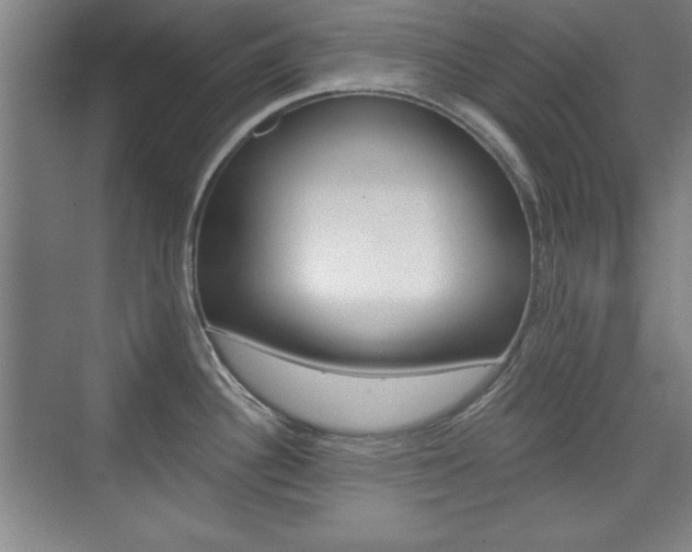 X0000076221340200609280912