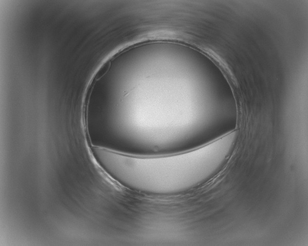 X0000076221342200609280912