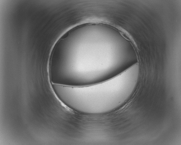 X0000076221343200609280912