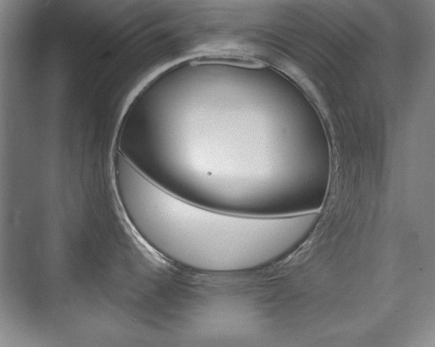 X0000076221344200609280912
