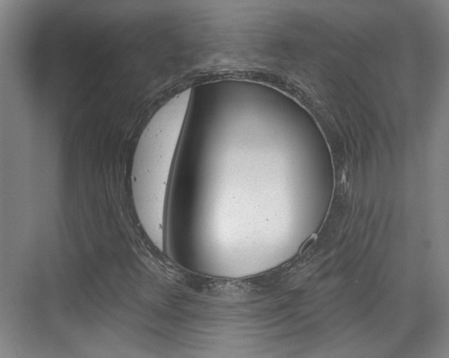 X0000076221348200609280911