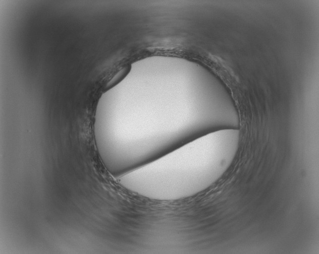 X0000076221350200609280911