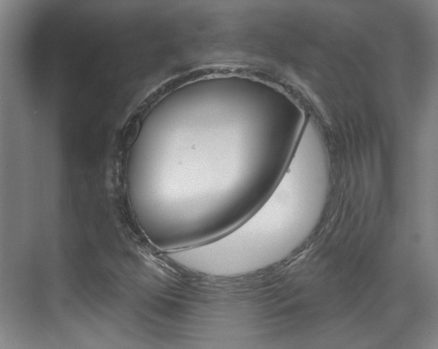 X0000076221352200609280911