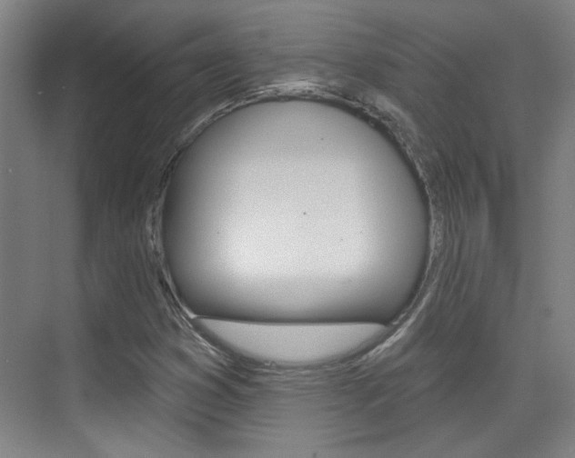 X0000076221353200609280911