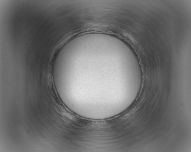 X0000076221354200609280911