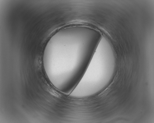 X0000076221355200609280911