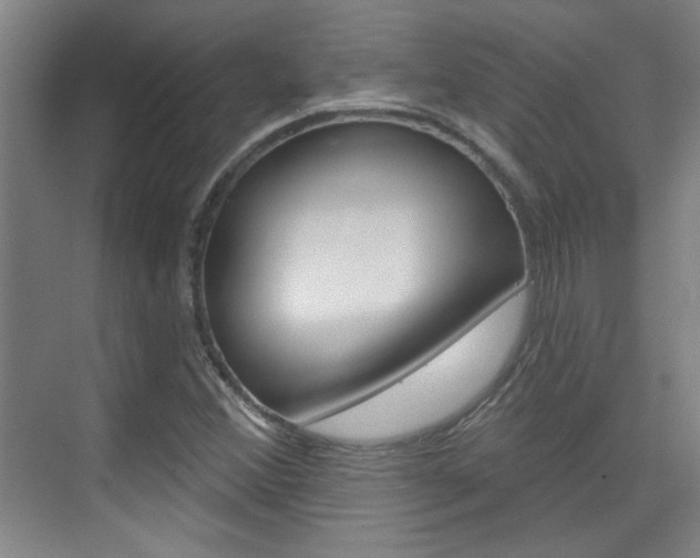 X0000076221356200609280911