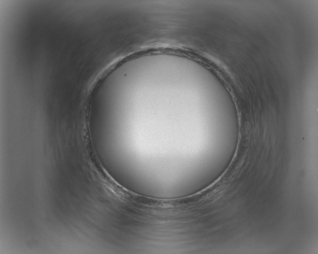 X0000076221359200609280911