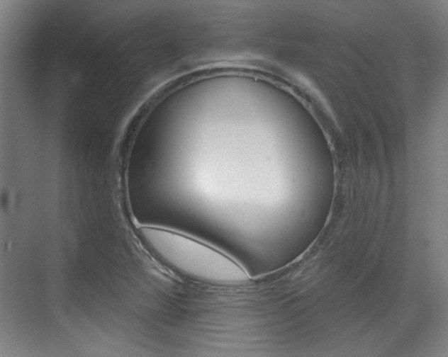 X0000076221360200609280911