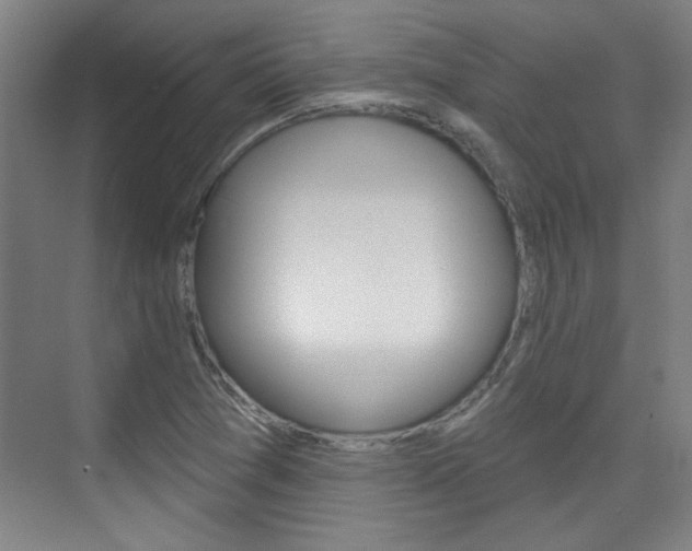 X0000076221361200609280911