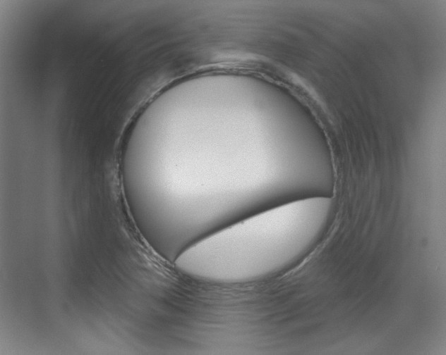 X0000076221362200609280910