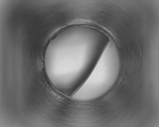 X0000076221363200609280910