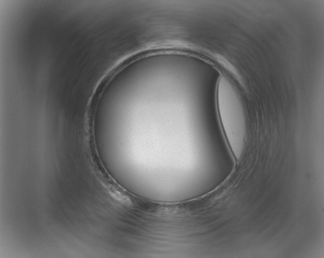 X0000076221364200609280910