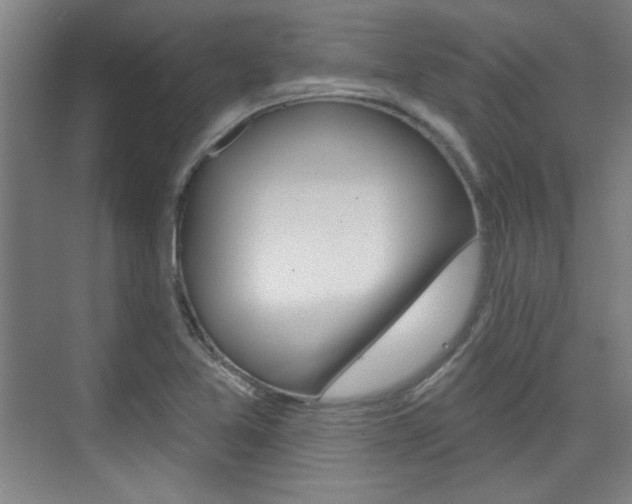 X0000076221365200609280910