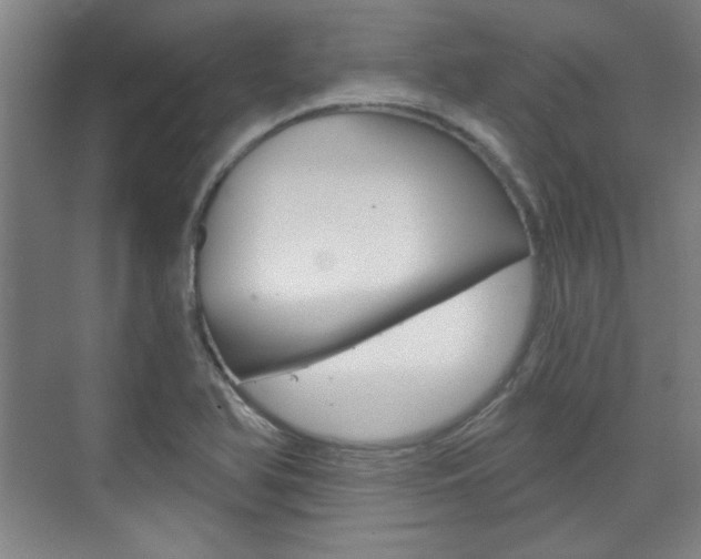 X0000076221366200609280910