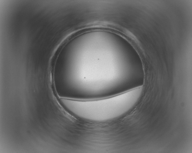 X0000076221368200609280910