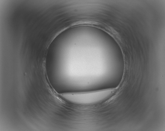 X0000076221369200609280910