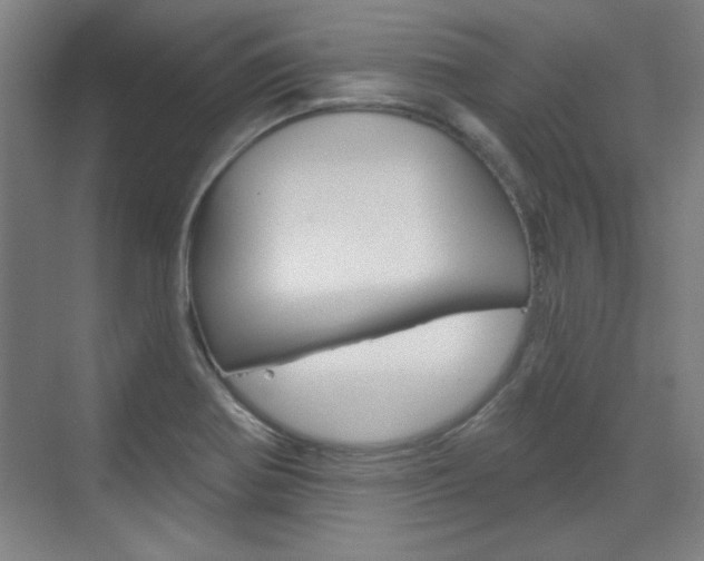 X0000076221370200609280910