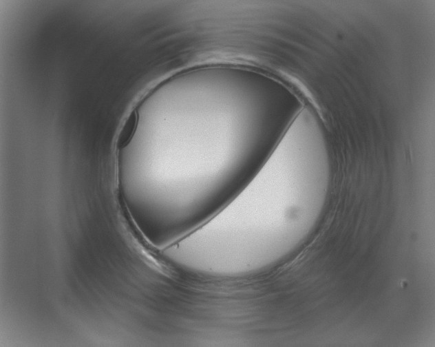X0000076221371200609280910
