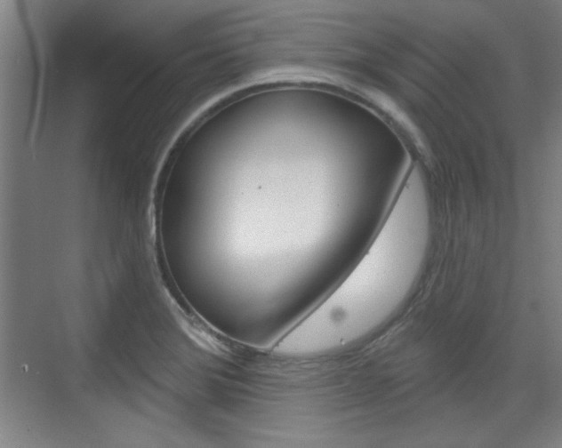X0000076221372200609280910