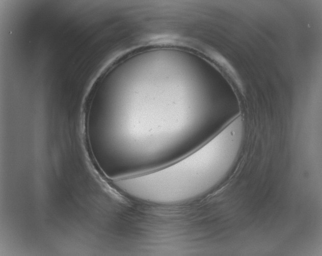X0000076221376200609280910