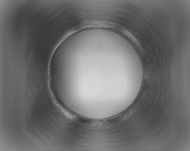 X0000076221378200609280910