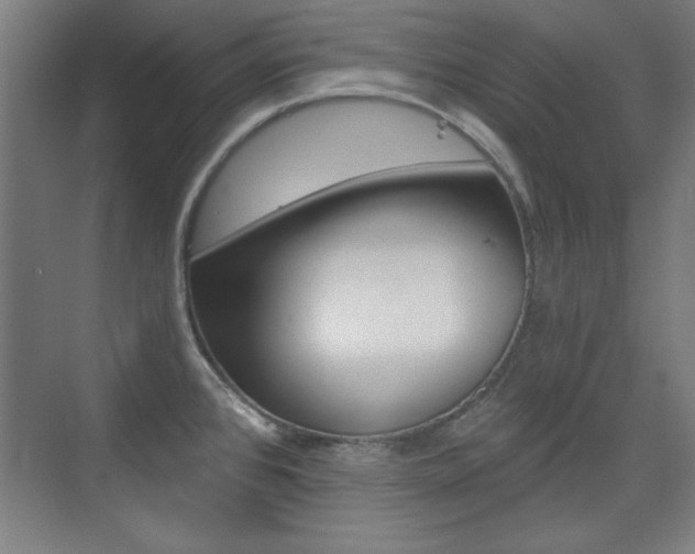 X0000076221384200609280910