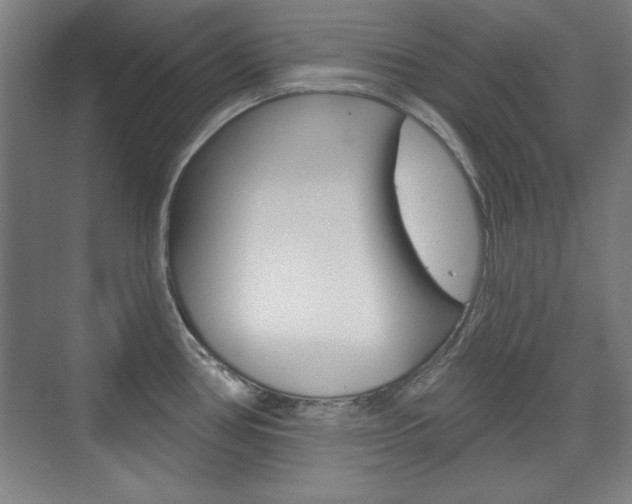 X0000076221386200609280910