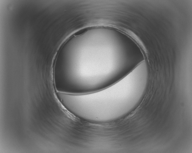 X0000076221388200609280910