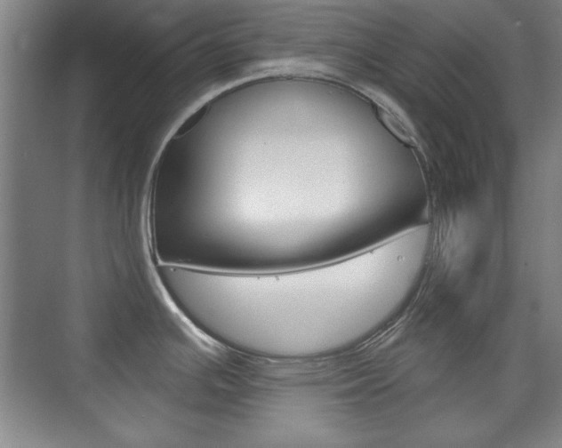 X0000076221391200609280910
