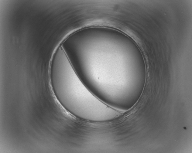 X0000076221392200609280910