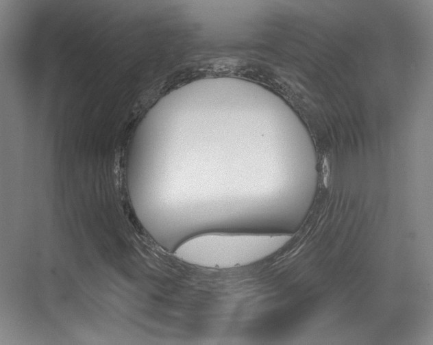 X0000076221395200609280909