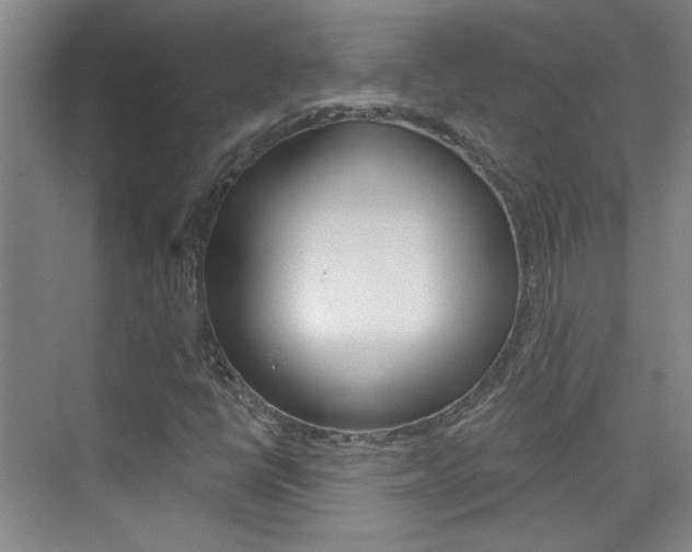 X0000076221398200609280909