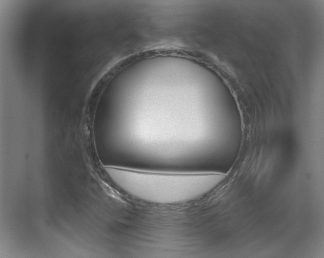 X0000076221400200609280909