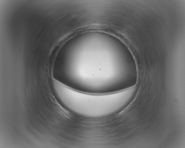X0000076221402200609280909