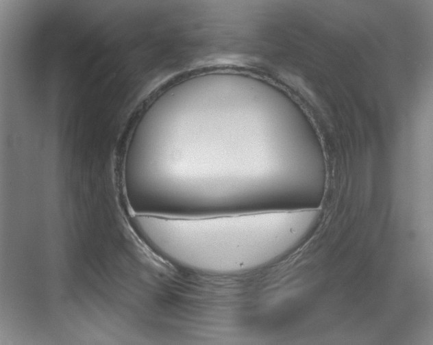X0000076221404200609280909