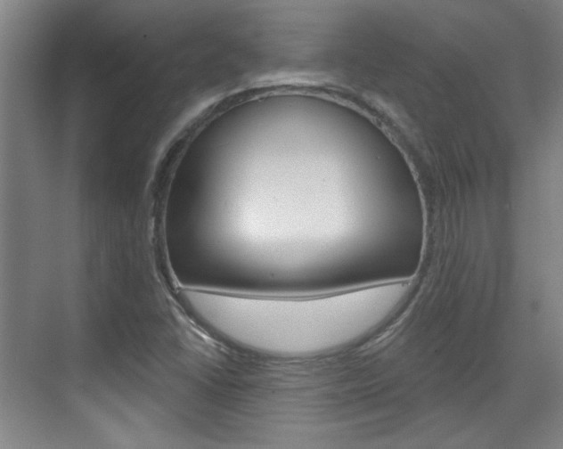 X0000076221406200609280909