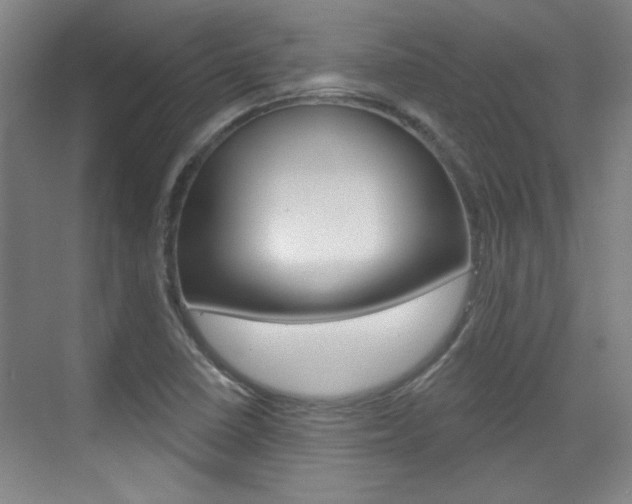X0000076221410200609280909