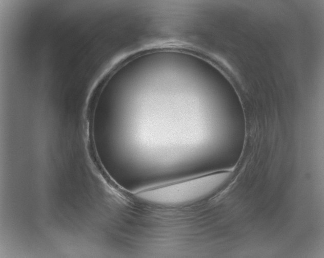 X0000076221414200609280910