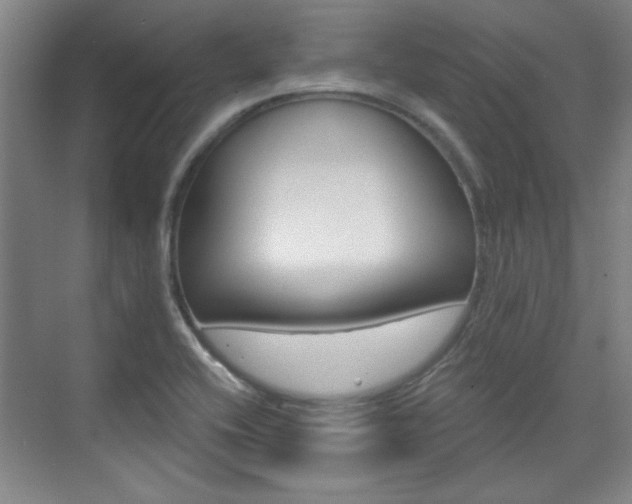 X0000076221416200609280910