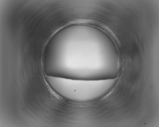 X0000076221417200609280910