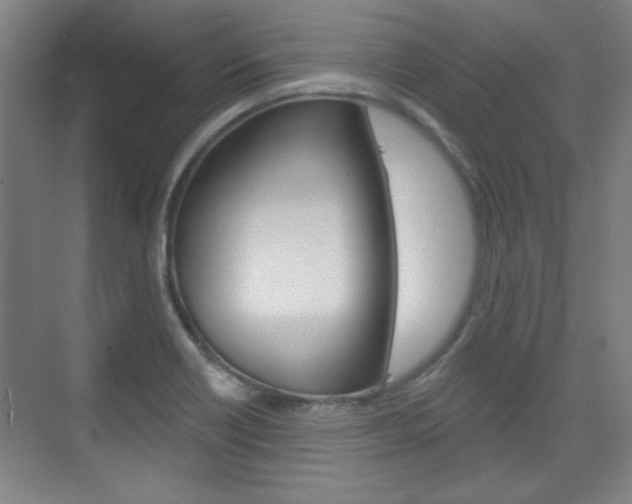 X0000076221418200609280910