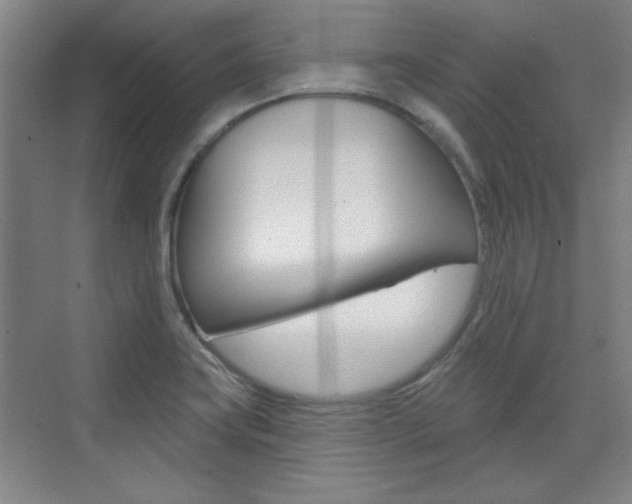 X0000076221419200609280910