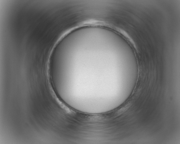 X0000076221421200609280910