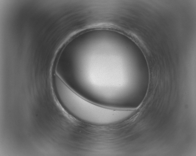 X0000076221422200609280910